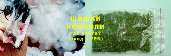 индика Балабаново