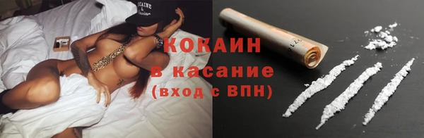 индика Балабаново