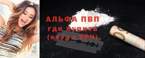 индика Балабаново